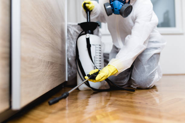 Best Mosquito Control Services  in Citrus Springs, FL