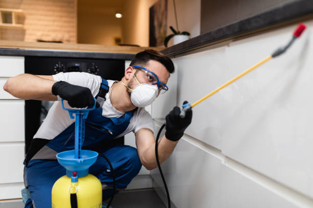 Reliable Citrus Springs, FL Pest Control Solutions
