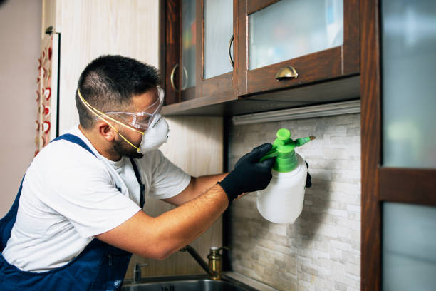 Best Ant Control Services  in Citrus Springs, FL