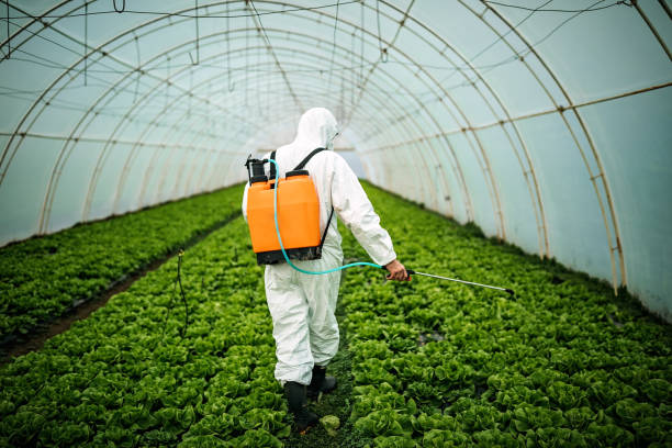 Best Residential Pest Control  in Citrus Springs, FL