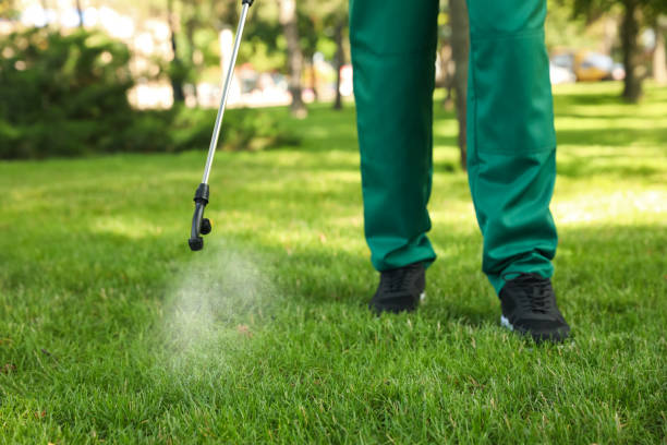 Best Spider Control Near Me  in Citrus Springs, FL
