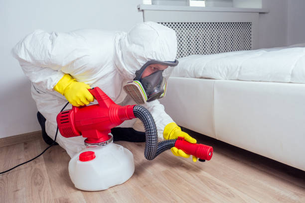 Best Cockroach Control Services  in Citrus Springs, FL