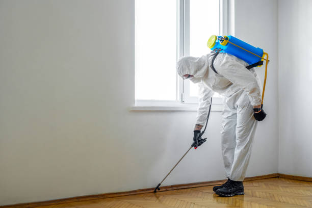 Best Wasp Removal Services  in Citrus Springs, FL