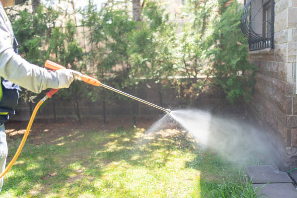 Best Pest Prevention Services  in Citrus Springs, FL