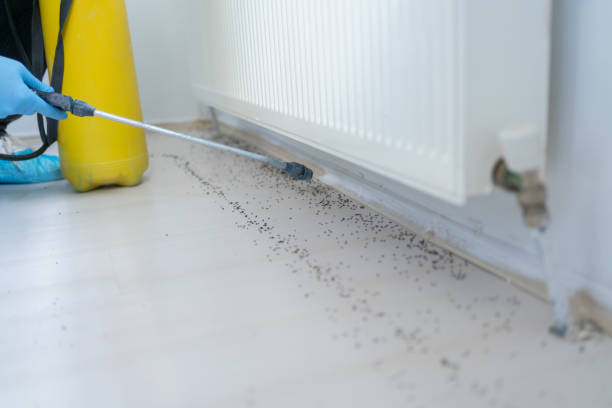 Best Bed Bug Extermination  in Citrus Springs, FL